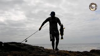 Kıyıdan Büyük Iplik Balıkçılığı. Balık Tutmakla Geçen Güzel Bir Gün, Harika Örnekler.