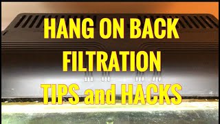 Hang-On-Back Aquarium Filters [AN UNDER RATED GREAT FILTRATION OPTION!] - Why I Love Them!
