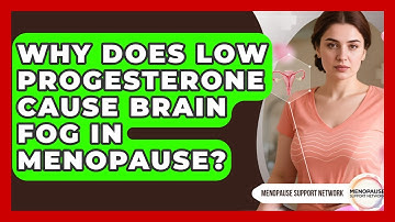 Why Does Low Progesterone Cause Brain Fog In Menopause? - Menopause Support Network