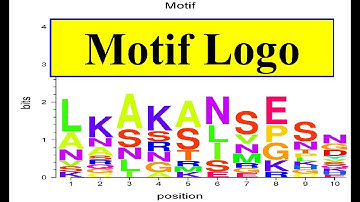 RNA Motif | Motif logo | Protein conserved region signature