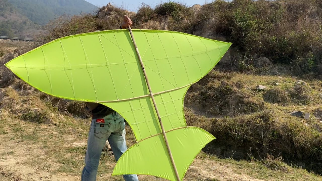 Tự Làm Diều Cá Bẹn 2.40m Bằng Tre Để Thả Chơi