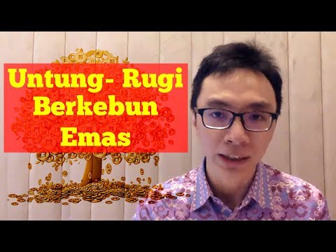 Video: Apa Itu Bit Emas - Informasi Cara Menanam Bit Emas