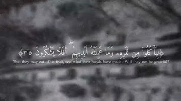 تلاوة خاشعة لسورة يس بصوت ماهر المعيقلي | قناة الهدهد للقرآن الكريم - استمع وارتقِ