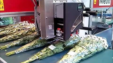 Print & Apply Solutions - Blowing Applicator Labelling solution demo