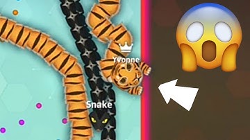Wall Trap Troll In Snake. Io! - Funny Moments! - Epic Snake Io Gameplay
