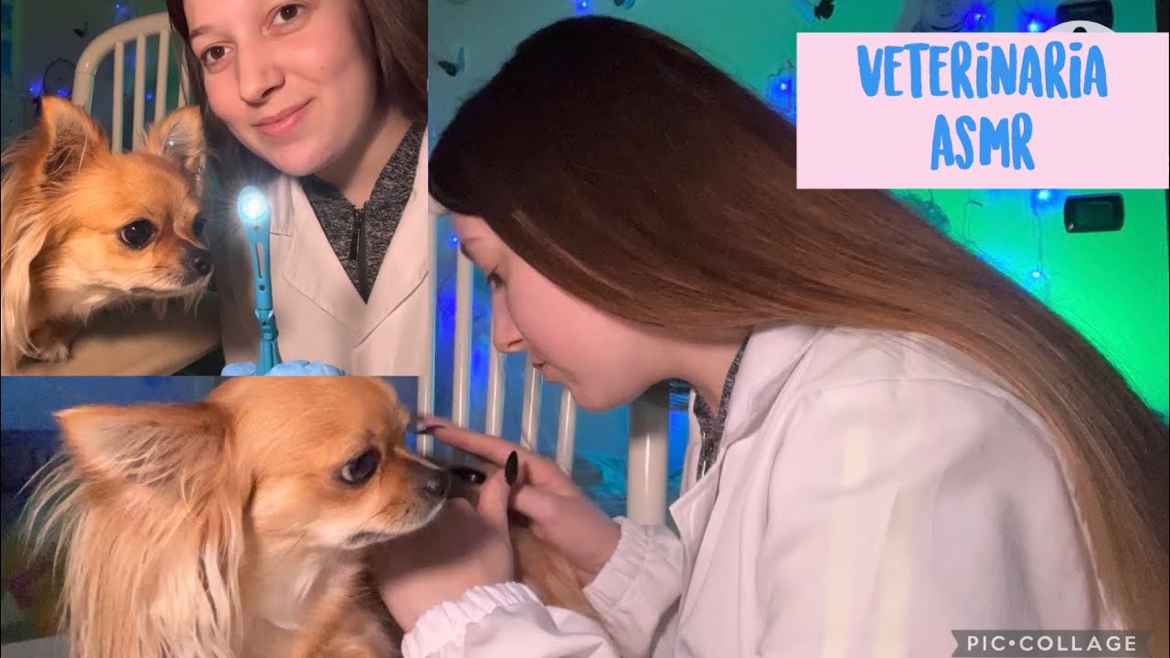 VETERINARIA DOLCE VISITA LA CUCCIOLINA -  Roleplay Asmr Ita 💚
