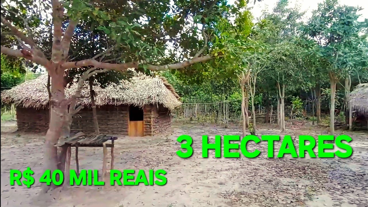 VENDE SE ESTA CHÁCARA DE 3 HECTARES COM PREÇO ACESSÍVEL NO POVOADO ANGELIM ESPERANTINA PIAUÍ