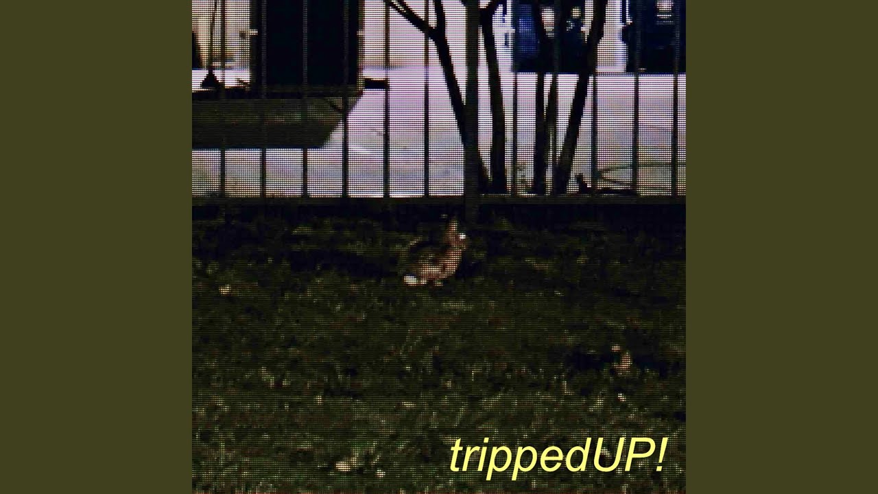 Watch trippedUP! on YouTube Watch trippedUP! on YouTube