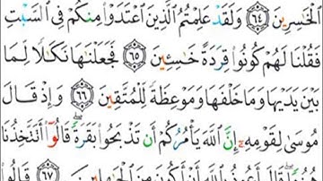 حفظ وتكرار سورة البقرة " من الآية 65:67 " #فجاءة_خاطرة