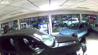 RAW VIDEO: MSP investigating theft of 2 Dodge Chargers from dealer's showroom floor