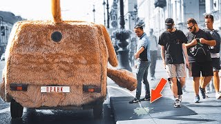 Prank video / The dog car from the movie is "Dumb and Dumber" / police reaction