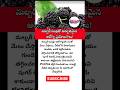 #Mulberry #MulberryFruit #HealthyFruits #Superfoods #HealthTips #Nutrition #IronRich #PotassiumRich
