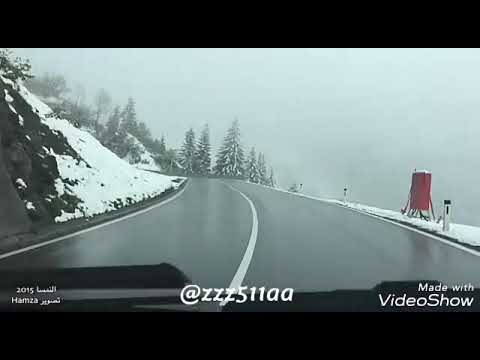 شيله أن كان حبي لك هو أعظم خطاياي