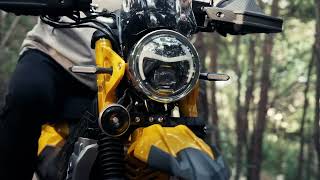 Multi Cub 150 In Forest Road