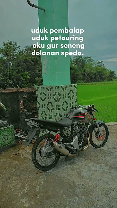 story' wa herex Blitar Jatim #herexjatim #storywa #herex #fypシ #viral #cjdwgank