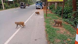 Modhupur ecu park মধুপুর জলই রেস্ট হাউজ,টাঙ্গাইল,২০২৬
