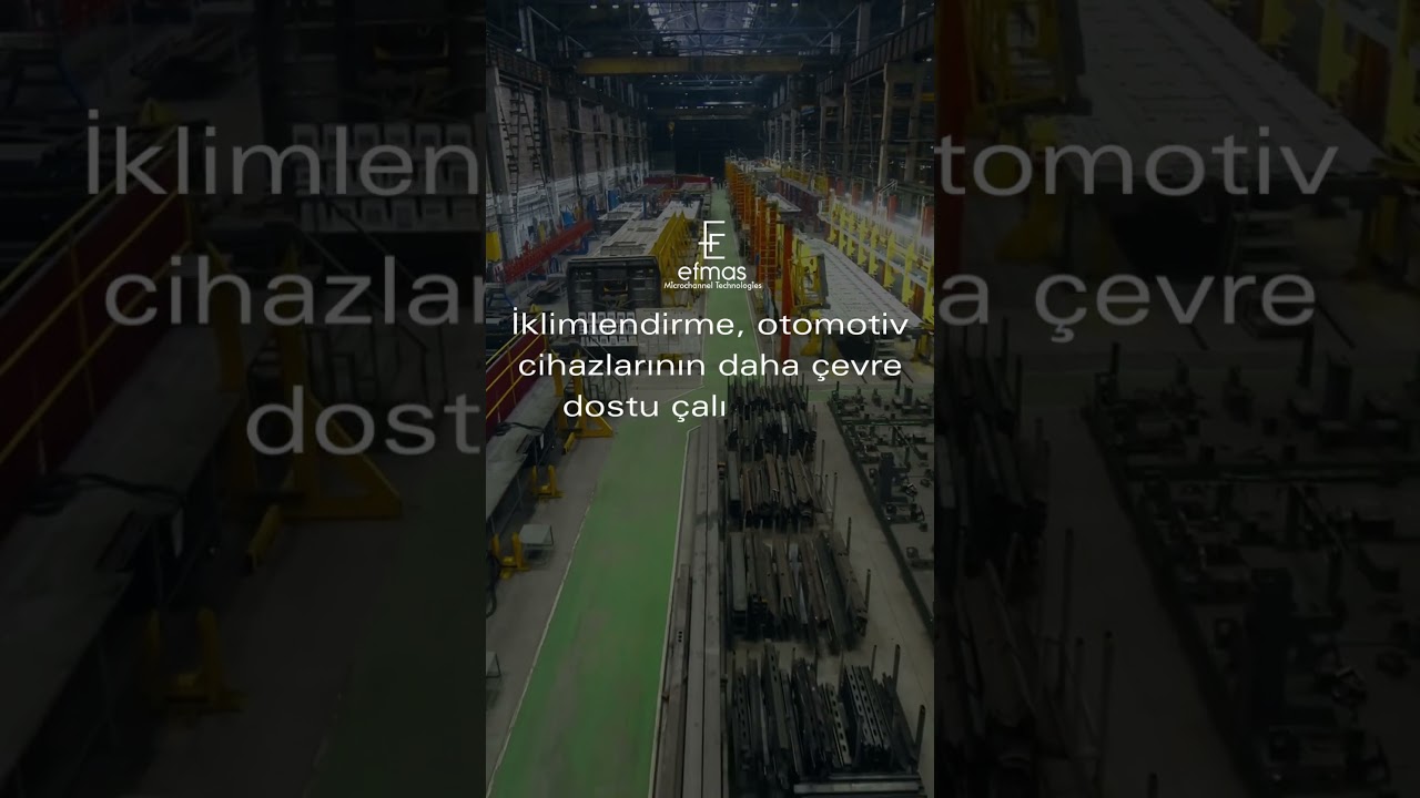 İklim krizini nasıl çözebiliriz? 