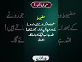 مظبوط لوگ 🔥🔥🔥#ViralVideo #FacebookReels #Shortsvideo #Shortviral #Shorts This video is