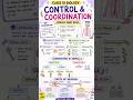Control and coordination🧠 class 10 #shorts