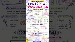 Control and coordination🧠 class 10 #shorts