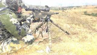 Projectile Trace 308Win