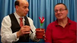 Appearing Flower in Pot from Magic Wand