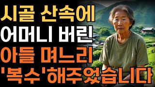 시골 산골짜기에 어머니 버린 아들과 며느리에게 복수한 사연   인생   사연   오디오북