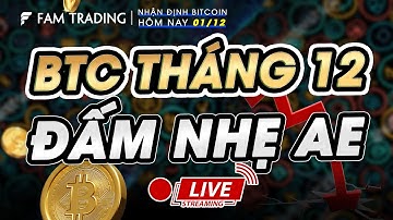 Cập nhật thị trường Crypto: BITCOIN HÔM NAY THÁNG 12 - ĐẤM NHẸ AE