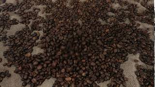 dropping coffee beans