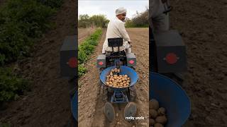 किसान की शानदार आलू बोने की मशीन 🚜 | मिनटों में आलू की बुवाई | Modern Farming #farming #shorts