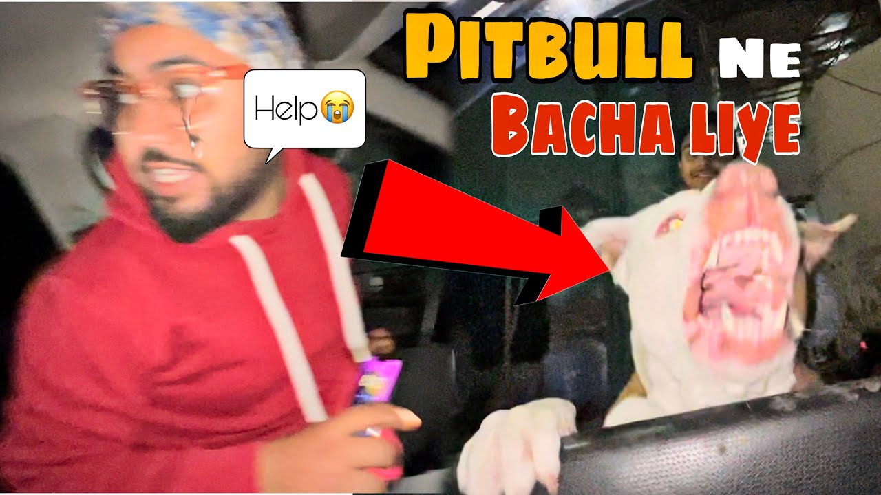 Chor peeche paad gaye 😭😡