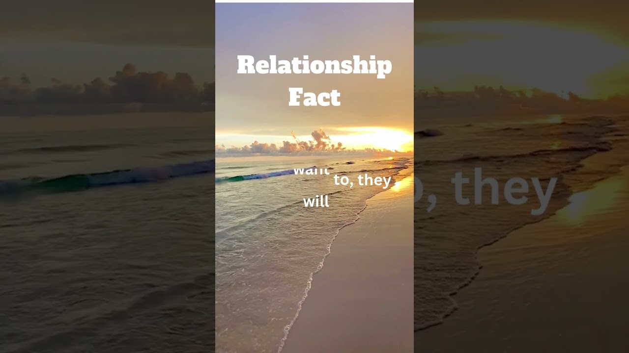 Love, Loyalty, and the Things No One Tells You 