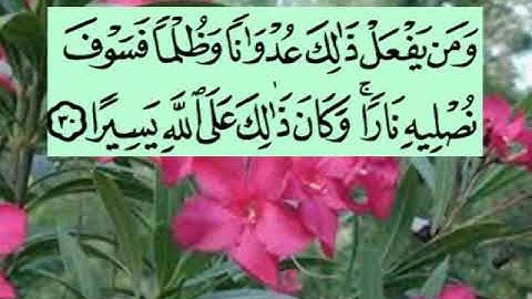 سورة النساء اية ٣٠ جمال القرش