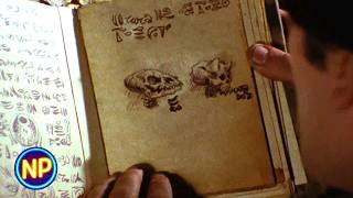 Creepy Book In the Basement | Evil Dead