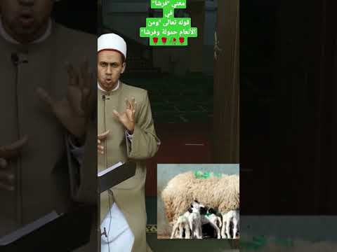 معني فرشا في قوله تعالى حمولة وفرشا   اسئلة دينية تفسير ترند تفاعل تيك توك