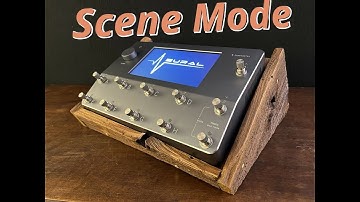 Quad Cortex - Scene Mode for Live/Rehearsal