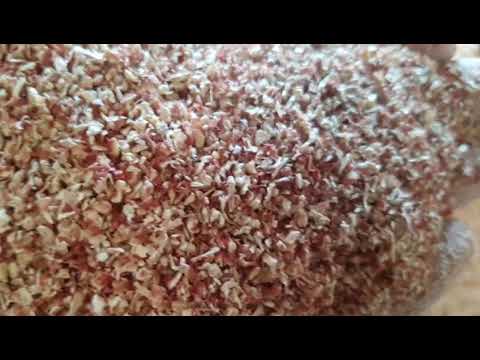 Video: Uporaba koruznih storžev kot mulčenja - Kako uporabiti koruzne storže za zastirko
