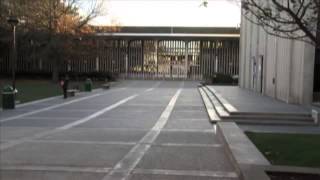 Ualbany Community Reacts To Students Death