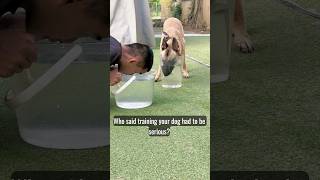Funny Belgian Malinois Copies Everything His Owner Does 😂 | Smart Dog Challenge