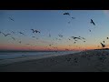 End of video
