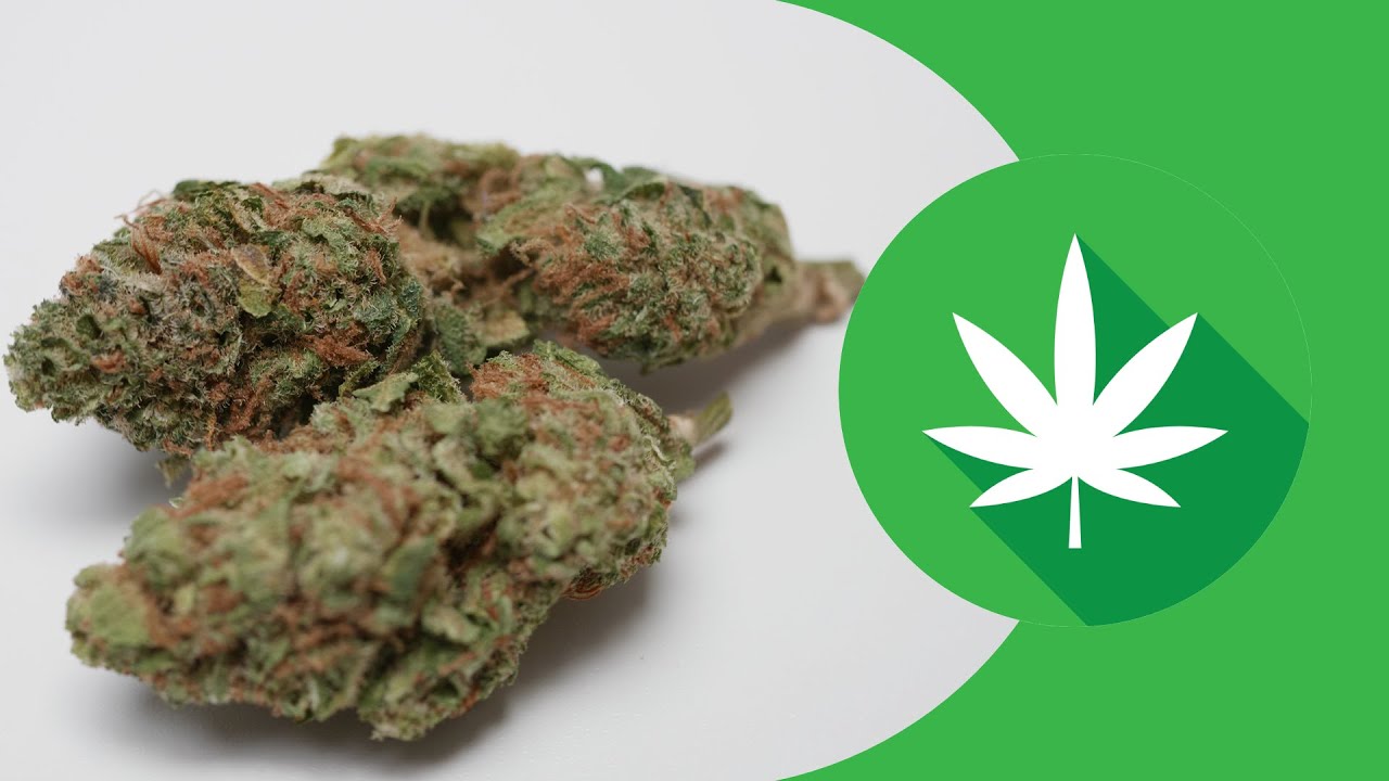 Sortenkunde: Shiskaberry 🍒🫐🍓 KEINE MEDIZINISCHE QUALITÄT