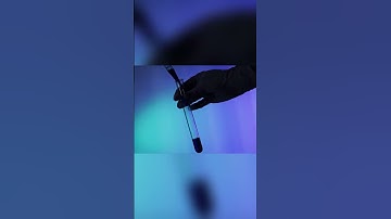 Inside the Lab  The Unsung Heroes of Science 🔬