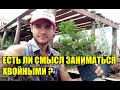 Самое СЛОЖНОЕ растение в моем бизнесе - ТУЯ