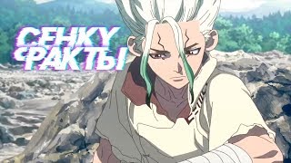 5 ФАКТОВ О СЭНКУ ИСИГАМИ / SENKUU ISHIGAMI - др.Стоун / dr.Stone