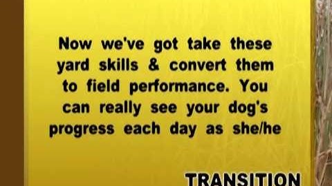 Total Retriever Training 2nd Edition with Mike Lardy