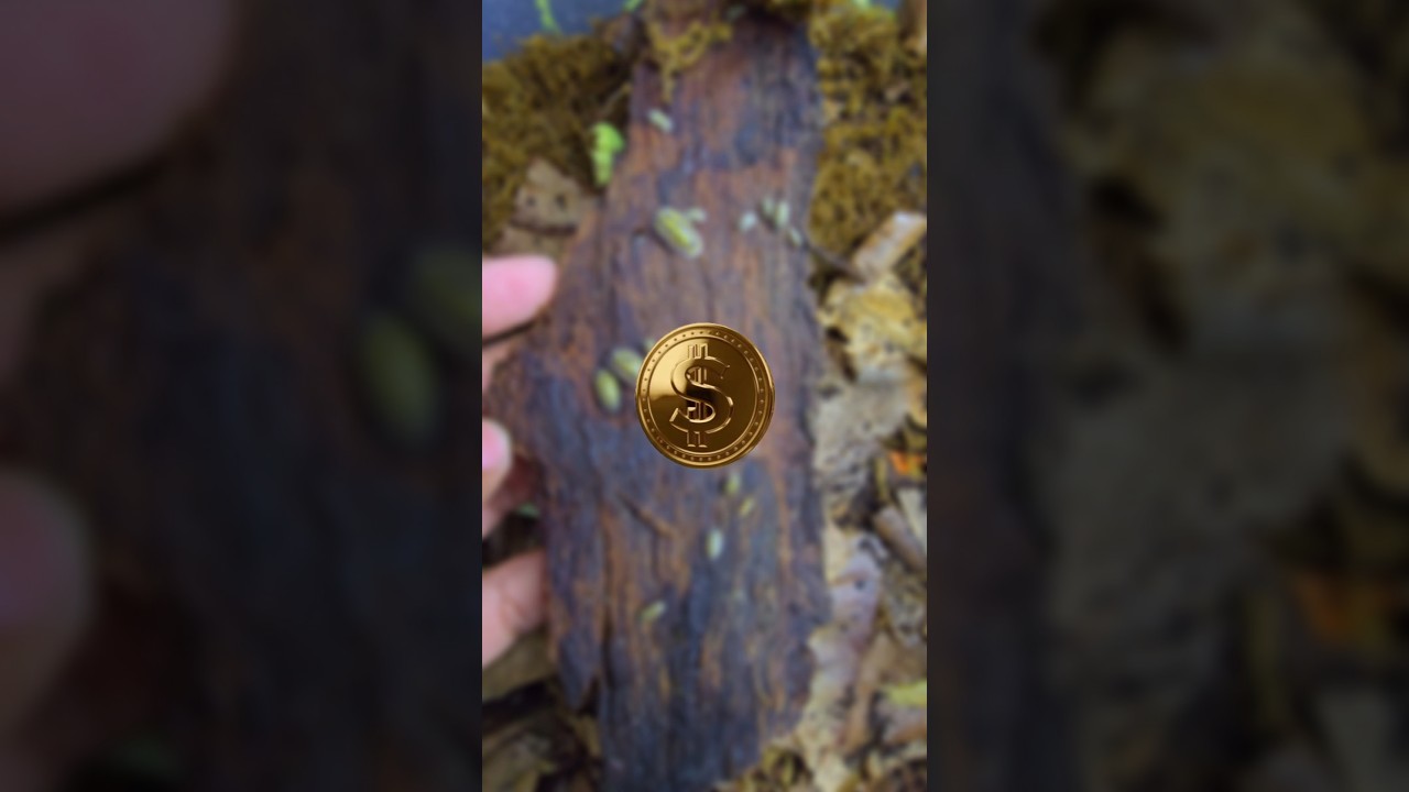 Lakhon Kama Sakte Ho 