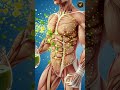 What Green Tea Really Does Inside Your Body #GreenTea #HealthFacts #3DAnatomy #CinematicAnimation