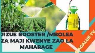 JINSI YA KUCHAGUA BOOSTER/MBOLEA ZA MAJI KWENYE ZAO LA MAHARAGE