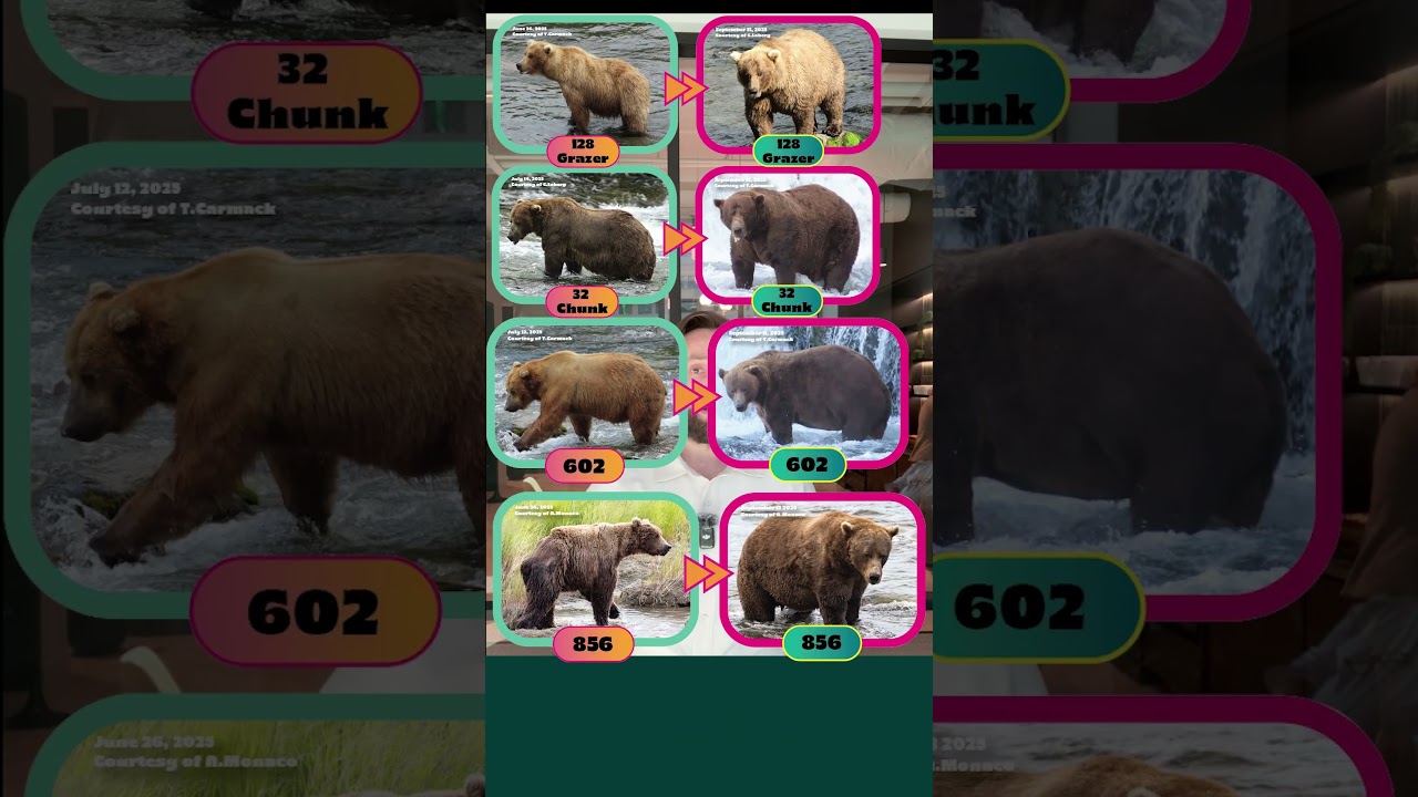 EIG Year in Review 2025 - by Economic Innovation Group