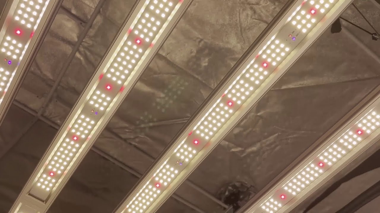 2021 The Newest Led Grow Light GeekBeast Plus 630W LM301B/H Meanwell Drive From GeekLight